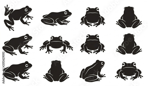 Schilderij op canvas Frog silhouette set vector black amphibian illustrations in different sitting po
