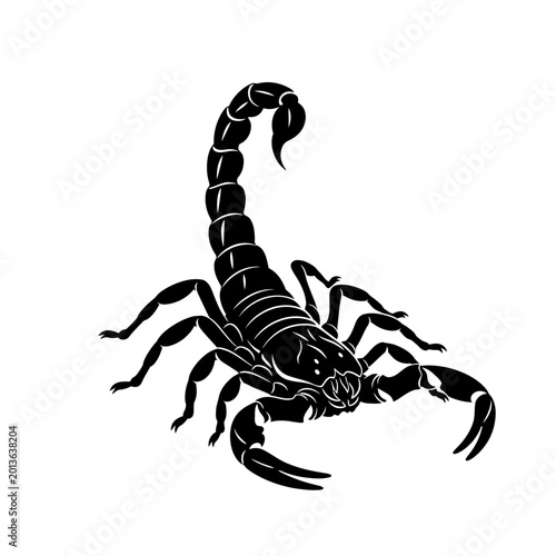 Schilderij op canvas Black Scorpion Silhouette Graphic Illustration Isolated On White Background