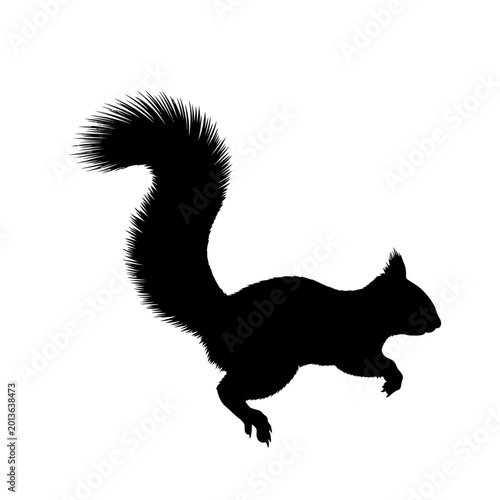 Billede på lærred Black silhouette of a running squirrel with a bushy tail on a white background