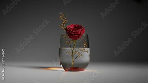 Elegant red rose in glass vase with water, minimalist floral still life on gray background, romantic botanical decoration for interior design