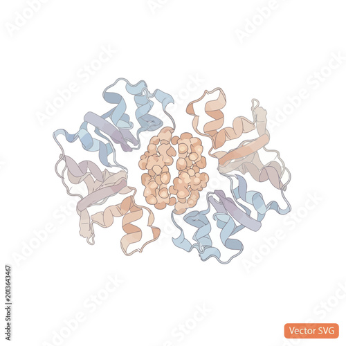 Protein molecule structure model.