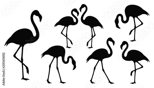Vector set of black silhouettes of flamingos