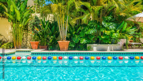 Tropical backyard swimming pool with clear blue water, colorful lane dividers, and lush green plants terracotta pots creating relaxing atmosphere