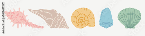 Quadro su tela Sea shells set, mollusks, starfish