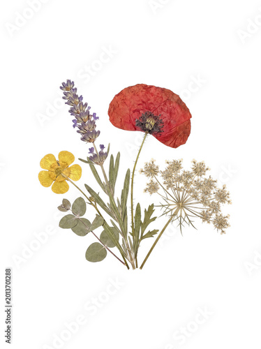 Canvastavla Beautiful pressed and dried flowers bouquet, featuring lavender, poppy, buttercup, and Queen Anne's Lace