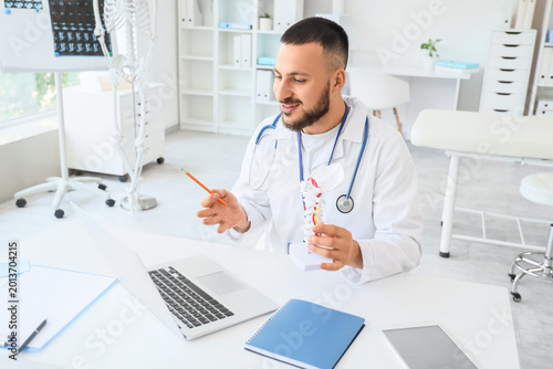 Male doctor with spine mode...