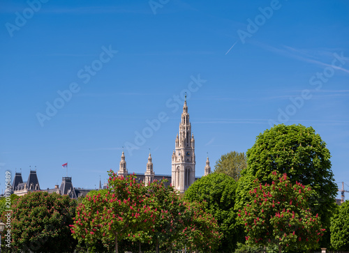 View of the neo-Gothic spire of the Vienna City Hall rising behind lush green trees with red blossoms under a clear blue sky in Vienna, Vienna, Austria.