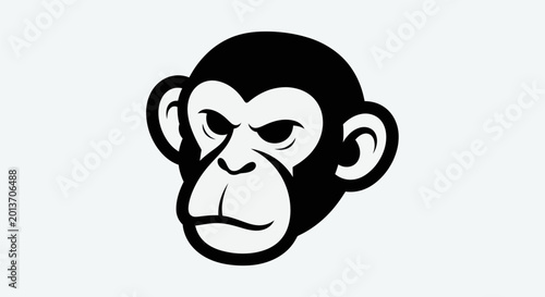 Photography Stylized monkey head illustration