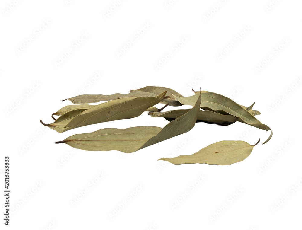 Fototapeta premium Dried bay leaves scattered on a white surface with soft studio lighting and ample copy space, minimal food ingredient still life.