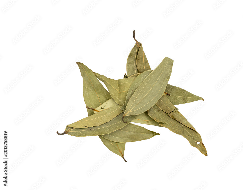 Fototapeta premium A bunch of dried bay leaves with light brown color and pointed tips, arranged on a pure Transparent background, showcasing their texture and shape.