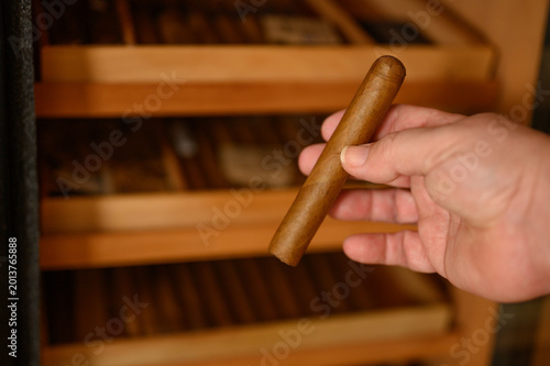 Hand nimmt Zigarre aus Humidor