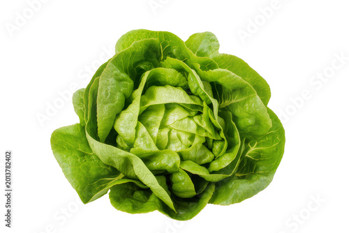 Konstfotografi Isolated fresh green butterhead lettuce head, a healthy vegetable for delicious salads
