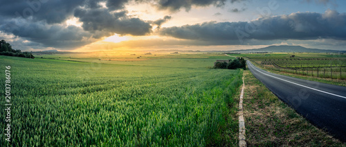 Canvastavla Wide Mallorca countryside: road beside grain field, dramatic sky