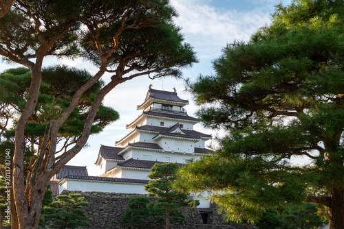Tsuruga Castle Tower Framed by Majestic Pine Trees in Evening Light