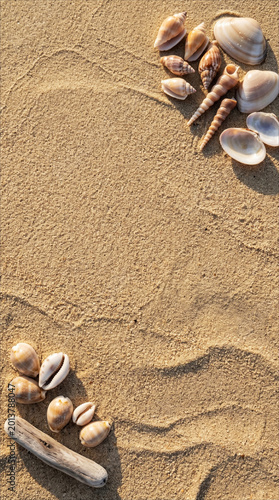 Seashells On Beach Sand Top View. Top view of scattered seashells and small stones resting on smooth beach sand