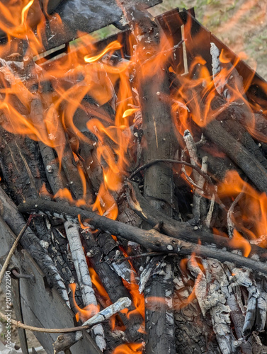 Obraz na płótnie A fire burning wood outdoors, producing heat and bright flames in a natural setting