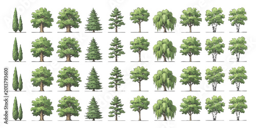 Fotografija Set of different green forest trees and conifer plants in flat vector style for