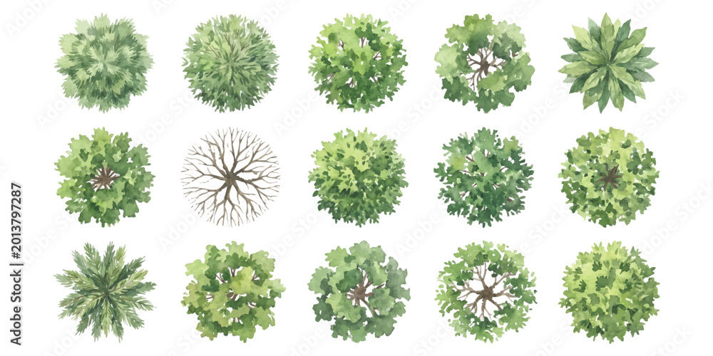 Obraz premium Set of fifteen flat green tree icons for landscape architecture design seen from top view for garden and park planning