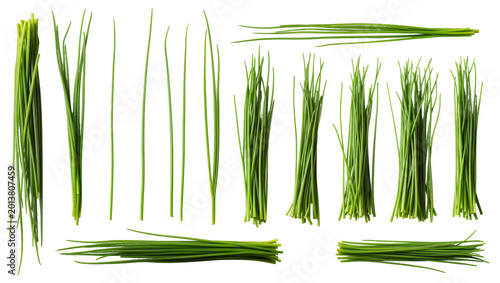Canvas Print Isolated fresh green chives bundles and individual stems, aromatic herbs for cul
