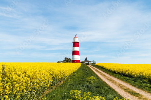 happisburgh lighthouse rapeseed field
