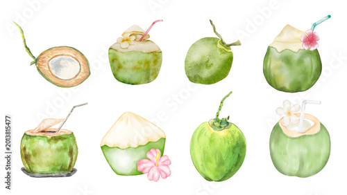 Vibrant watercolor collection of fresh green coconuts, showcasing whole fruits, halved coconuts, and delicious refreshing tropical drink illustrations
