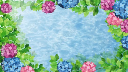 紫陽花梅雨背景
