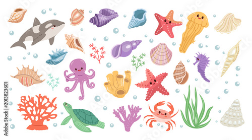 Cute flat marine animals seashells coral and underwater ocean elements isolated vector collection illustration for children design