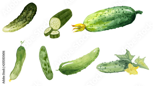 Obraz na płótnie Vibrant Watercolor Illustrations of Fresh Cucumbers in Various Forms and Stages