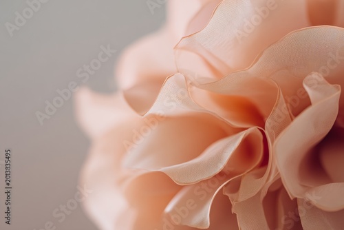 Delicate peach flower petals with soft texture close-up