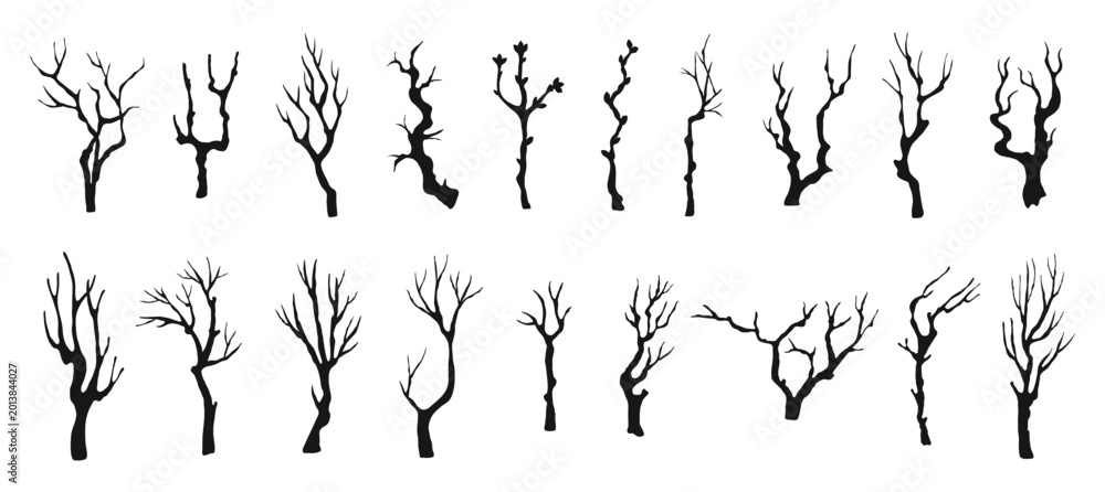 Naklejka premium Twigs tree trunk for trees branches branch and twig leafless trunks. Bare black outline for dry dead spooky and eerie forest halloween. Twigs monochrome woodland for trees nature contour.