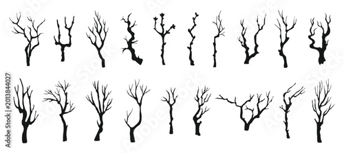Twigs tree trunk for trees branches branch and twig leafless trunks. Bare black outline for dry dead spooky and eerie forest halloween. Twigs monochrome woodland for trees nature contour.