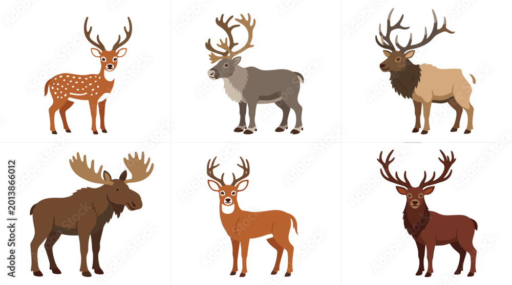 Fototapeta premium Forest deer and moose wildlife character set featuring realistic antler animals in flat vector illustration collection for nature designs