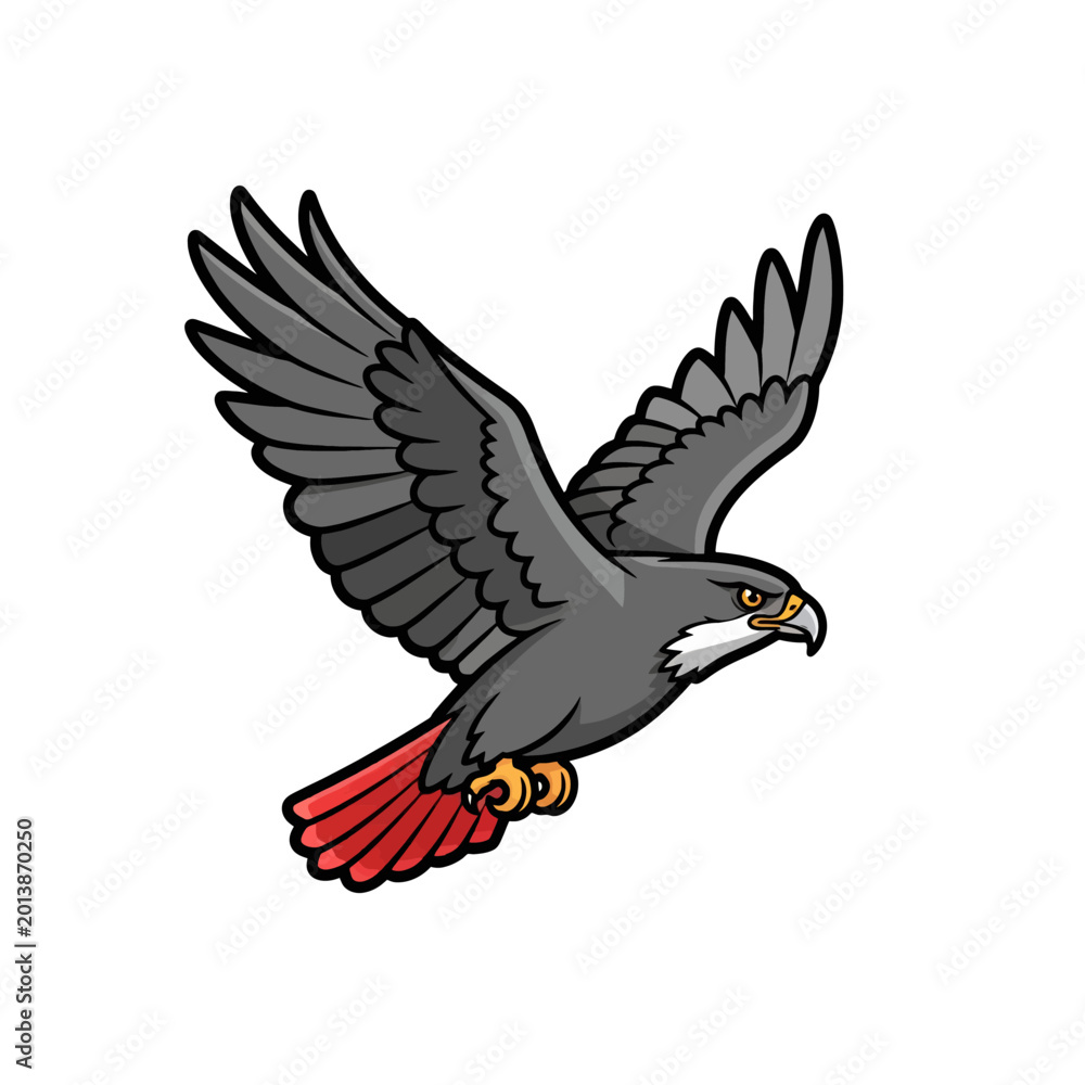 Fototapeta premium A powerful hawk flying with wings spread wide in the sky