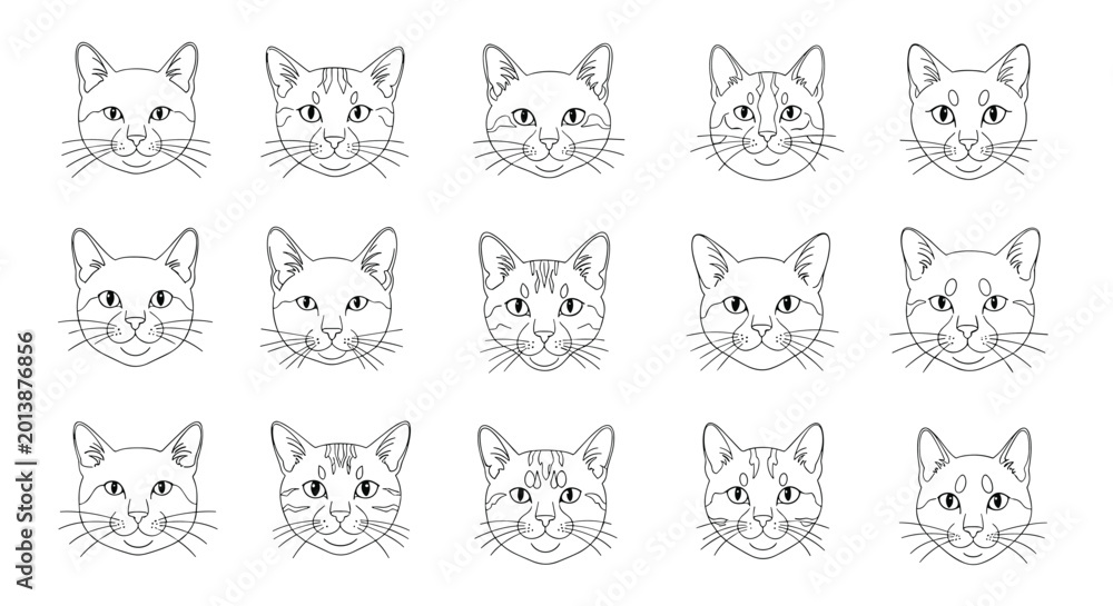 Obraz premium Grid of fifteen different cat face illustrations in a clean black and white outline style showing various breeds and patterns.