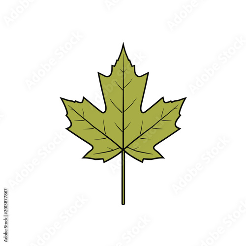 Foto A simple, stylized illustration of a green maple leaf with a dark outline, set against a white background