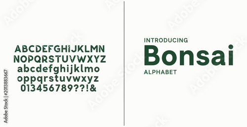 Bonsai modern alphabet font display with letters and numbers