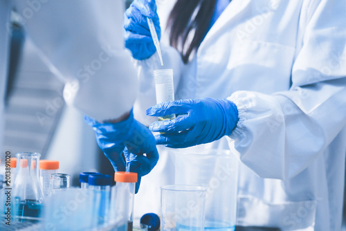 Researchers working in the clinical laboratory