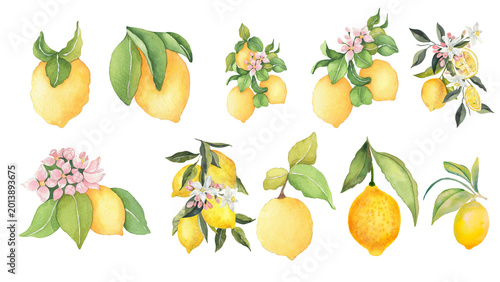 фотографія Vibrant Watercolor Lemon Collection Beautifully Hand-Painted Citrus Fruits and B