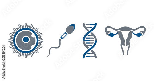 Bild auf Leinwand Reproductive system icon set with uterus egg and sperm cell vector symbols for m