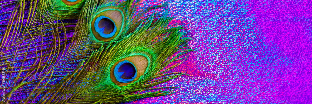 Fototapeta premium Colorful peacock feathers spread on a bright surface creating an interesting pattern during daytime