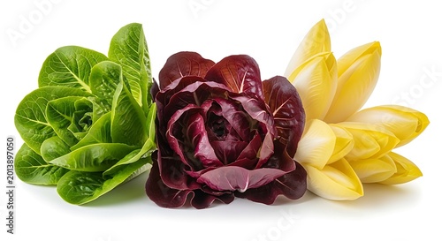 Three colorful lettuce leaves