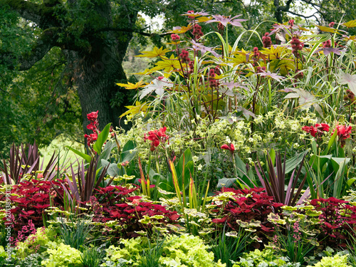 Colorful flowerbed with variety of red, green and white plants making layered structure and tropical look