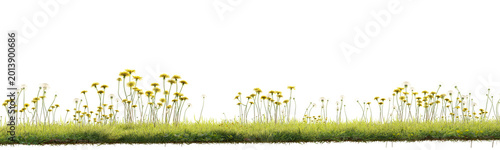Foto Wildflower grass border isolated on transparent background for nature landscape and environment design asset