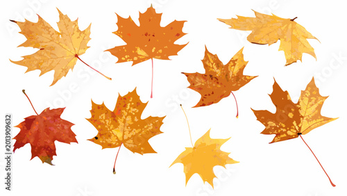 Canvastavla scattered autumn maple leaves with stems vibrant fall colors on a white backgrou