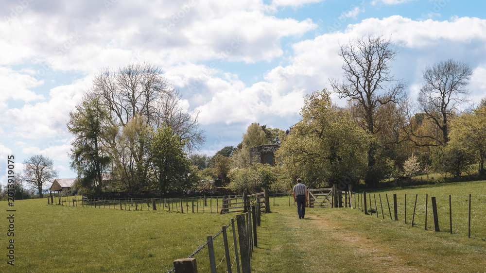 Fototapeta premium Rolling Farmland Horizons near Edlingham, Northumberland, May 2026