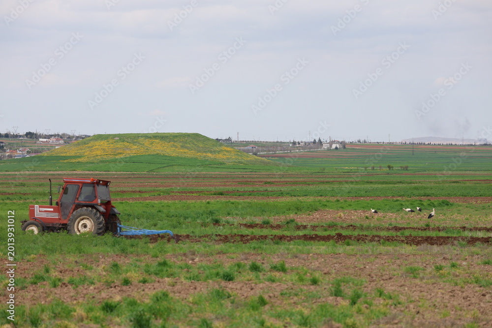 Obraz premium Tractor plowing field. Storks grassy field. High quality photo