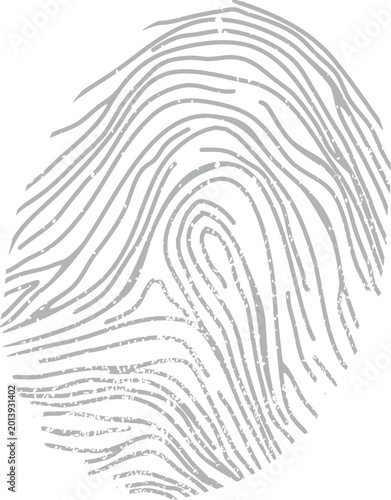 Abctract fingerprint image on the white
