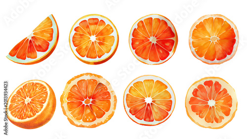 Watercolor slices and segments of juicy oranges on a white background