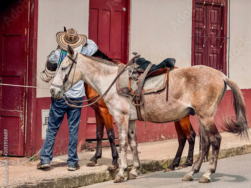 Man with Horse, Jardin, Colombia