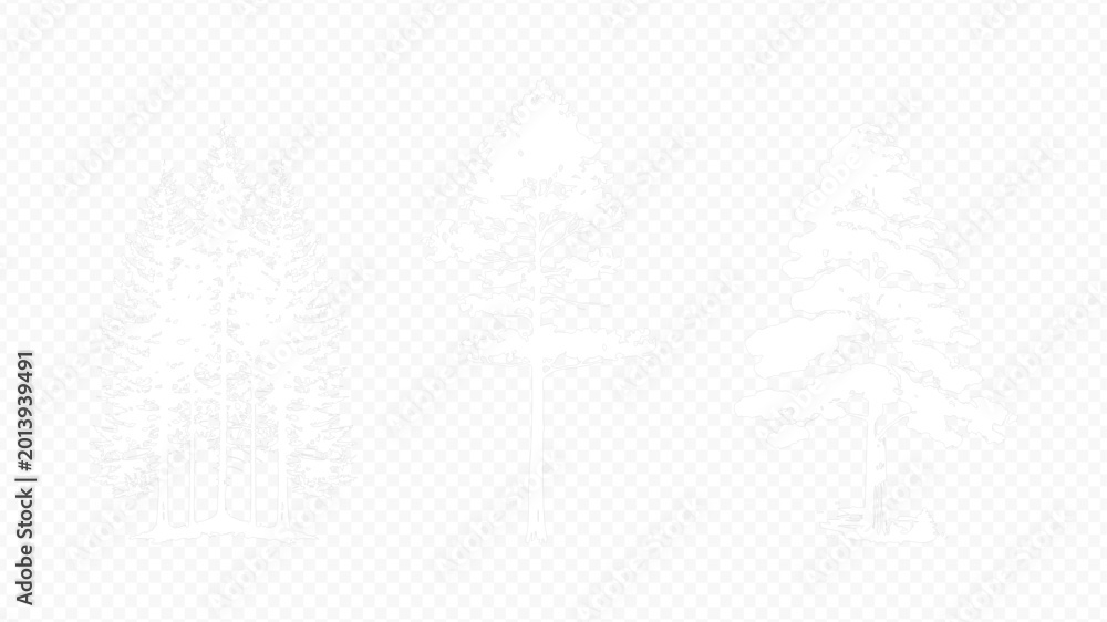 Obraz premium Architectural Drawings, Minimal style cad tree line drawing, Side view, set of section wetland forest outline for landscape design drawing. 